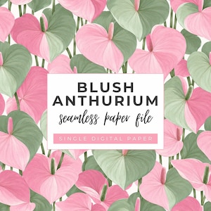 May include: A seamless pattern of pink and sage green anthurium flowers with a white rectangular overlay containing the black text BLUSH ANTHURIUM seamless paper file and a pink bar with the text SINGLE DIGITAL PAPER in white capital letters.