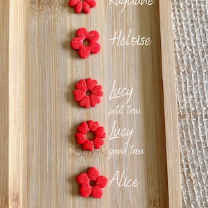 Può includere: Sei bottoni a forma di fiore rosso glitterati con fori di diverse dimensioni. I bottoni sono etichettati con i nomi Kaylane, Heloise, Lucy petit trou, Lucy grand trou, Alice e Flora.
