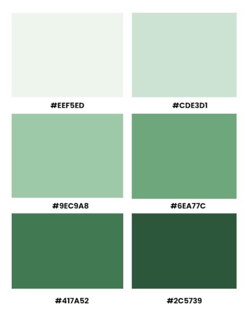 Forest Harmony Color Palette | Natural Green Branding Swatches - Etsy