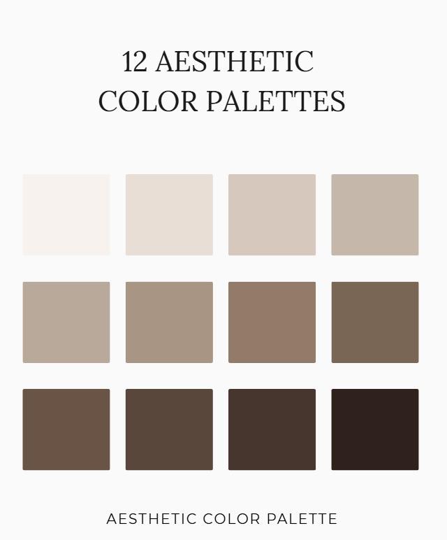 12 Aesthetic Color Palettes – Neutral Brown Brand Color Scheme – HEX