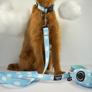 Hundeleine Wolken-Design blau, weiß Boho kleine bis große Hunde Hundegeschenk Set bequem weich stabil Neopren 1.5 m Bild 3