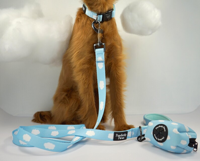 Hundeleine Wolken-Design blau, weiß Boho kleine bis große Hunde Hundegeschenk Set bequem weich stabil Neopren 1.5 m Bild 3