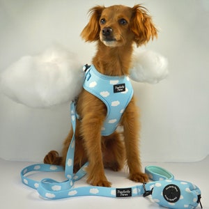 Hundeleine Wolken-Design blau, weiß Boho kleine bis große Hunde Hundegeschenk Set bequem weich stabil Neopren 1.5 m Bild 5