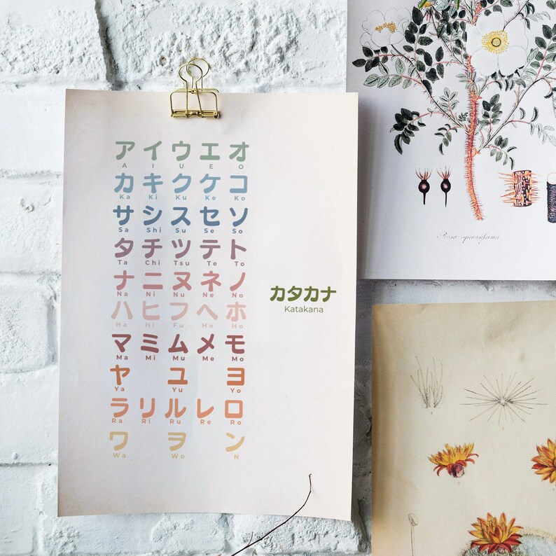 Set of 5 Japanese Hiragana Katakana Chart, Japanese Alphabet Bilingual ...