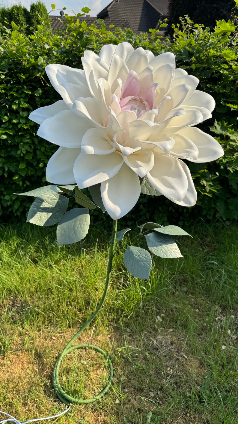 Puede incluir: Una gran flor de dalia artificial blanca con un centro rosa, en un tallo verde con hojas, de pie sobre una base verde en un &aacute;rea cubierta de hierba.