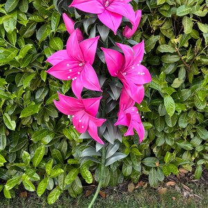 Puede incluir: Una planta artificial decorativa alta que presenta m&uacute;ltiples flores de lirio de color rosa vibrante con estambres de punta blanca y hojas de color verde oscuro. El tallo est&aacute; envuelto en material verde y se enrosca en una base circular con un cable blanco.