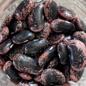 May include: Close-up of a glass jar filled with speckled beans. The beans are mainly black with pink and red mottled patterns. Some beans have a small white spot. The beans are a natural food product.