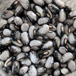 Peut inclure: Gros plan d'un bocal rempli de haricots tachetés. Les haricots sont un mélange de blanc, de gris et de noir, de forme réniforme. Les haricots sont tassés, remplissant le cadre.