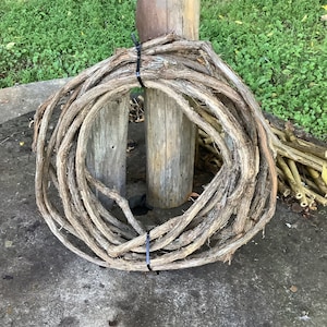May include: A large bundle of dried vines is tied together with black zip ties and wrapped around a wooden post.