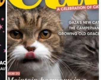 a Collection of magazines about cats