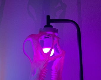 Lampa podłogowa z czaszką braciozaura