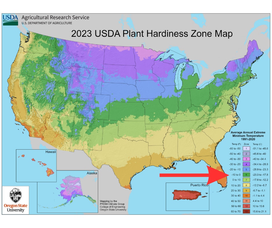 Zone 6 Planting Schedule Visual Spring Vegetable Garden Planner, Seed
