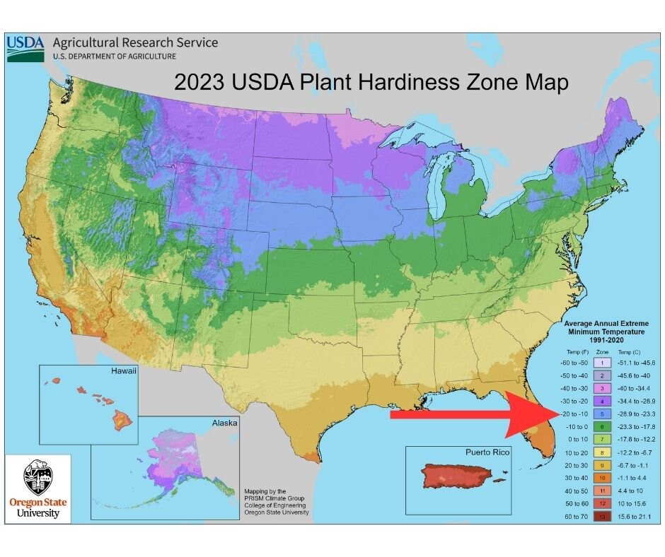 Zone 5 Planting Schedule: Visual Spring Vegetable Garden Planner, Seed ...