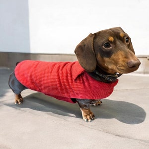 Handmade Corduroy Dachshund Coat: Fleece Lined Sausage Dog Jacket