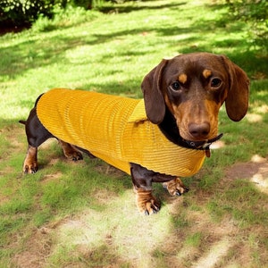 Handmade Corduroy Dachshund Coat: Fleece Lined Sausage Dog Jacket