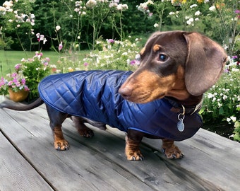 Waterproof dachshund coat | dachshund custom coat | dachshund waterproof jacket | dachshund coat | Sausage dog coat | dachshund rain coat