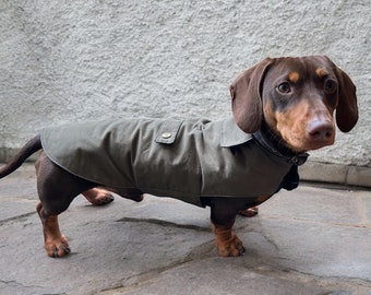 Manteau imperméable de luxe en cire sèche pour teckel | imperméable teckel | imperméable chien saucisse | imperméable pour chien saucisse |