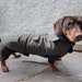 see more listings in the Water resistant coats section