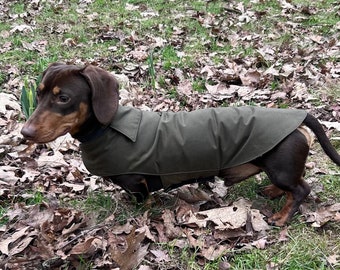 Dry wax dachshund coat | dachshund waterproof coat | dachshund waterproof jacket | dachshund wax coat | sausage dog wax coat | wax dog coat
