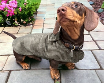 Handmade Jumbo Cord Dachshund Coat | Fleece Lined, Custom Fit