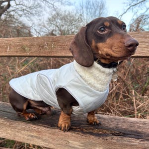 Waterproof Dachshund Coat: Fleece Lined Sausage Dog Jacket
