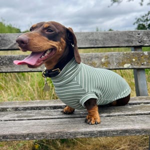 Striped Dachshund Jumper: Lightweight Knit, Handmade Dog Clothes