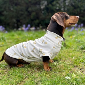 Lemon Print Dackel Pullover : Handgemachte Baumwollwurst-Hundekleidung