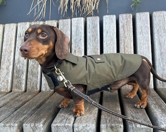 Waterproof Dachshund Raincoat, Handmade Waxed Cotton Dog Coat, sausage dog waterproof coat, UK