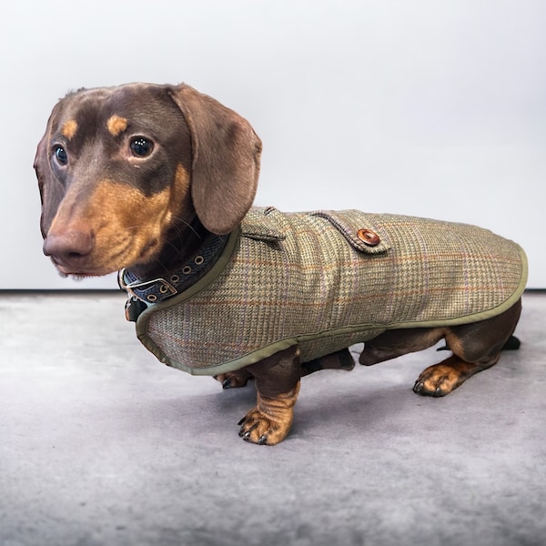 Wool check dachshund coat | dachshund custom coat | dachshund jacket | dachshund coat | Sausage dog coat | warm dachshund coat