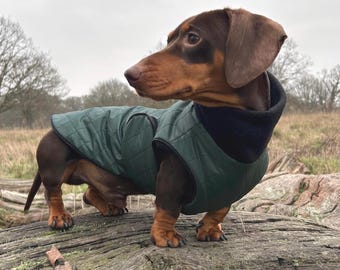 Dachshund coat, waterproof sausage dog coat, long back dog jacket, handmade UK