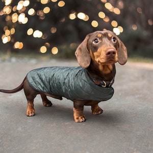 Waterproof Dachshund Coat: Hand-Quilted Fleece Lined Sausage Dog Jacket