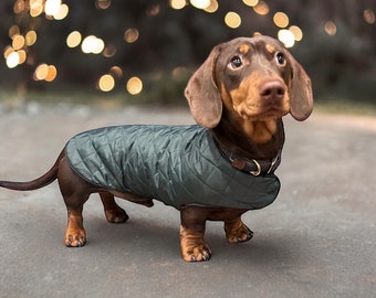 Manteau imperméable en teckel | manteau personnalisé teckel | imperméable teckel | manteau teckel | Manteau pour chien saucisse | manteau de pluie teckel