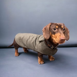 Warm dachshund coat dachshund custom coat dachshund fleece jacket dachshund coat Sausage dog coat image 2