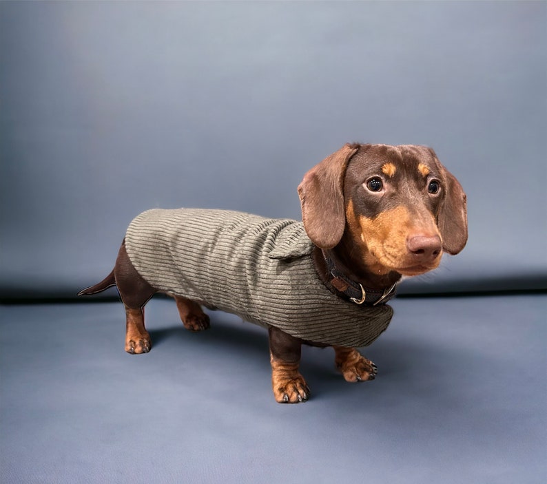Warm dachshund coat dachshund custom coat dachshund fleece jacket dachshund coat Sausage dog coat image 2