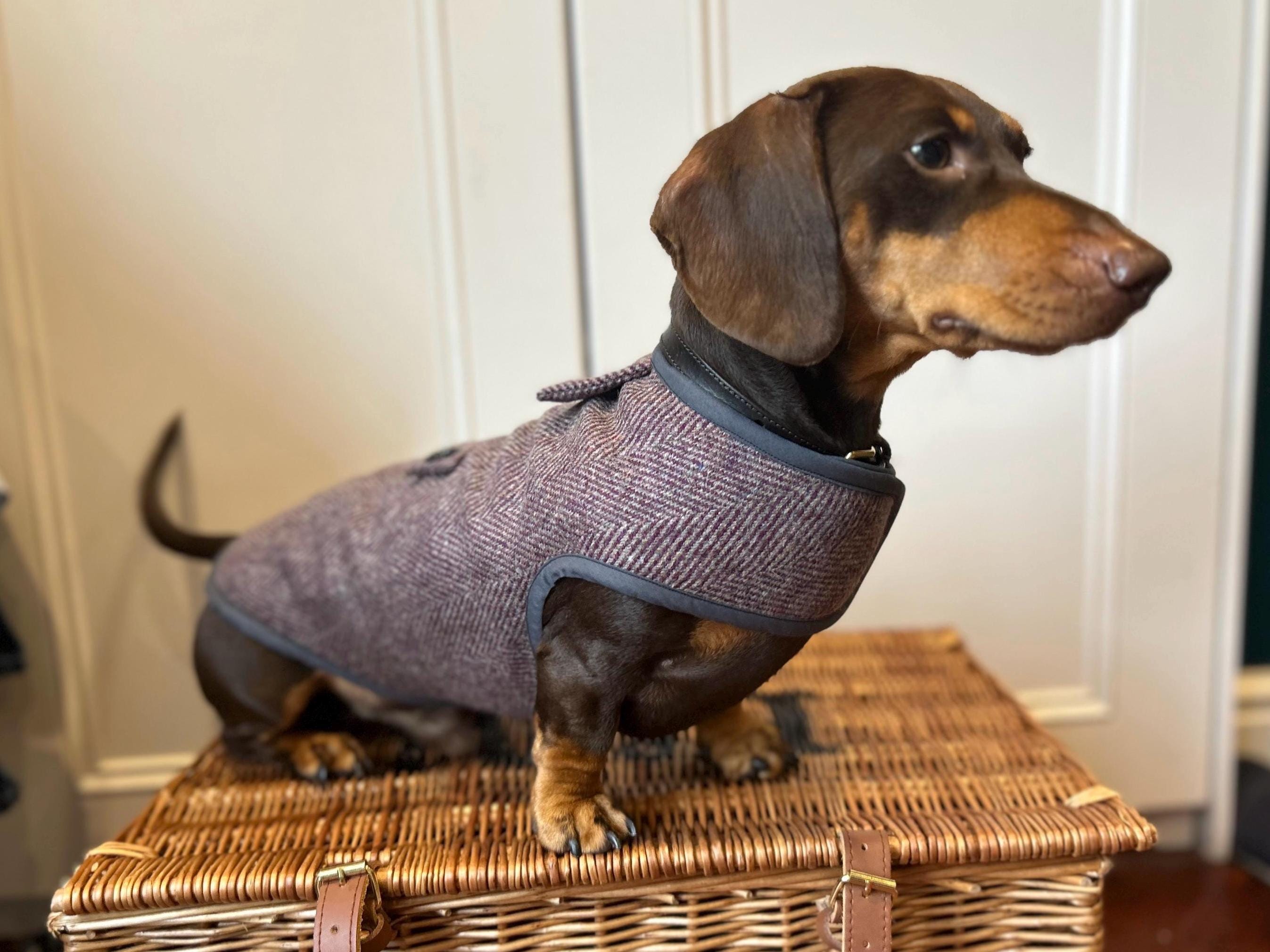 Hundemantel loden - Etsy.de
