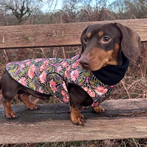 Waterproof Dachshund Coat: Liberty Print Fleece Lined Sausage Dog Jacket