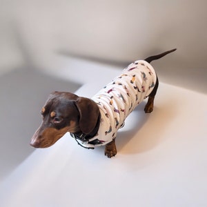 Waterproof Dachshund Coat: Sausage Dog Print Fleece Lined Jacket