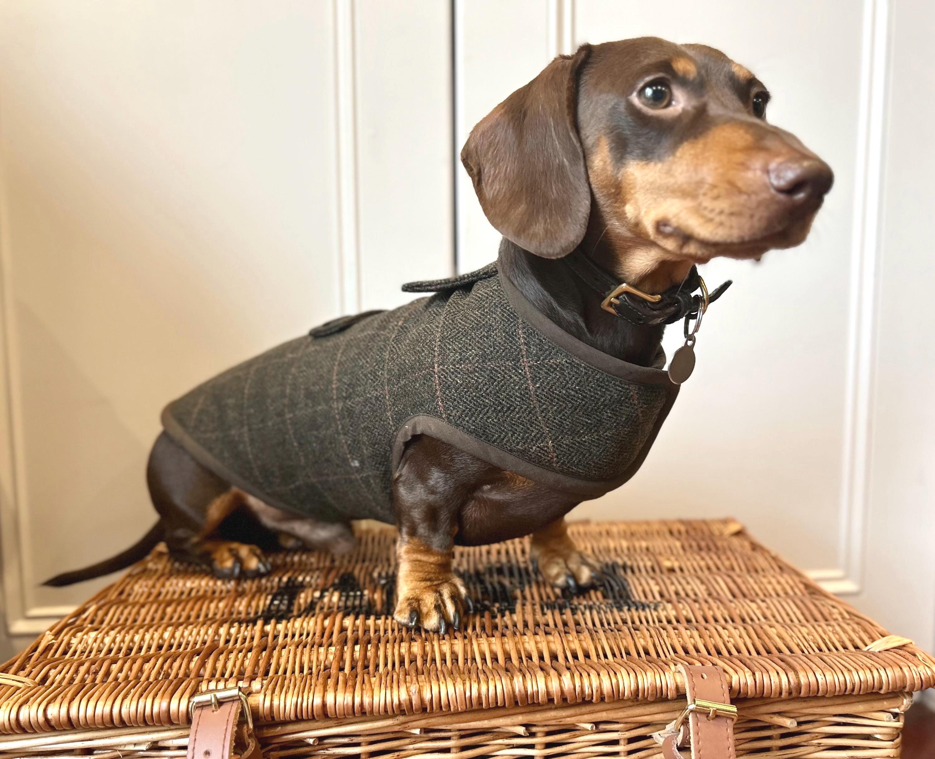 Snow Dachshund Booties For Injured Paws Small Dog Shoes - Main Image