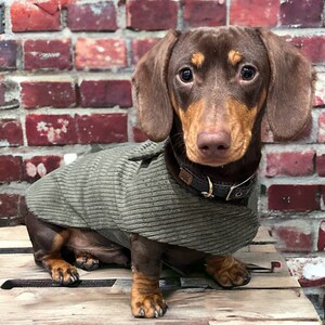 Warm dachshund coat dachshund custom coat dachshund fleece jacket dachshund coat Sausage dog coat image 3