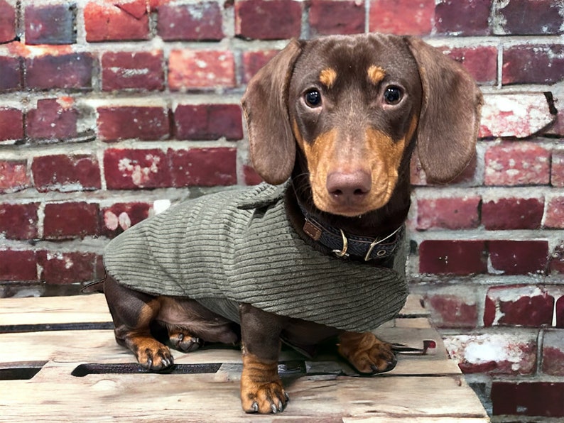 Warm dachshund coat dachshund custom coat dachshund fleece jacket dachshund coat Sausage dog coat image 3