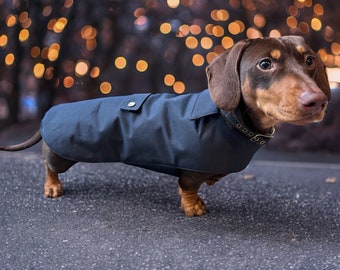 Manteau imperméable de luxe en cire sèche pour teckel | imperméable teckel | imperméable chien saucisse | imperméable pour chien saucisse |