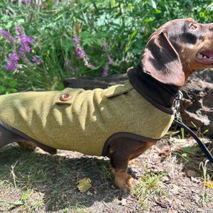 Luxury Wool Dachshund Coat: Handmade Yorkshire Tweed, Fleece Lined