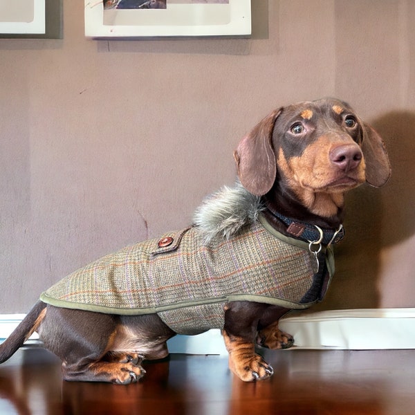 Wool check dachshund coat with removable faux fur collar | dachshund custom coat | dachshund coat | Sausage dog coat | warm dachshund coat