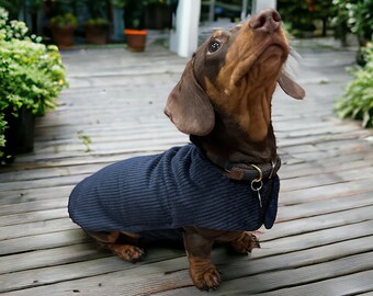 Warm dachshund coat | dachshund custom coat | dachshund fleece jacket | dachshund coat | Sausage dog coat