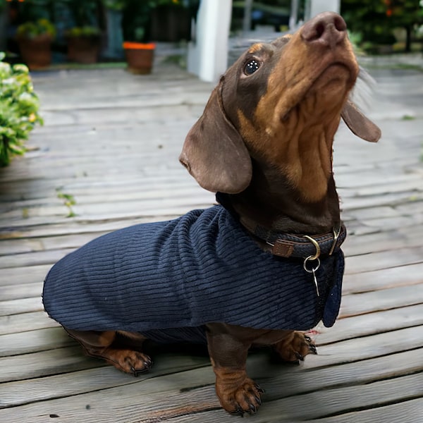Warm dachshund coat | dachshund custom coat | dachshund fleece jacket | dachshund coat | Sausage dog coat