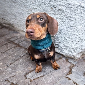 Handmade Dachshund Snood: Soft Boucle Dog Neck Warmer