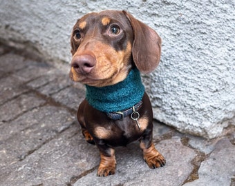 Dachshund snood | dog neck warmer | dog snood | dachshund neck warmer | sausage dog snood or neck warmer