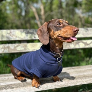 Handgemachter Dackel Pullover: Navy Baumwolle Rippstrick, Hundekleidung