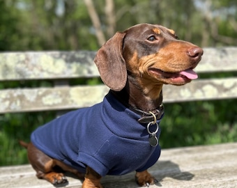 Handmade Dachshund Jumper: Navy Cotton Rib Knit, Sausage Dog Clothes