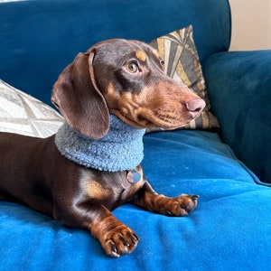 Handmade Dachshund Snood: Soft Boucle Dog Neck Warmer